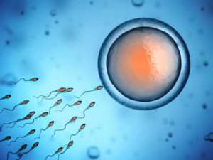 tips-for-healthy-sperm