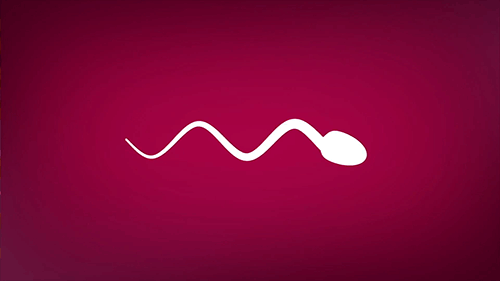 healthy sperm