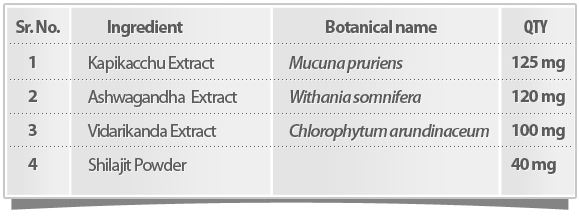 Maxocum ingredients