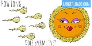 how long does sperm live