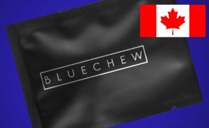 bluechew canada